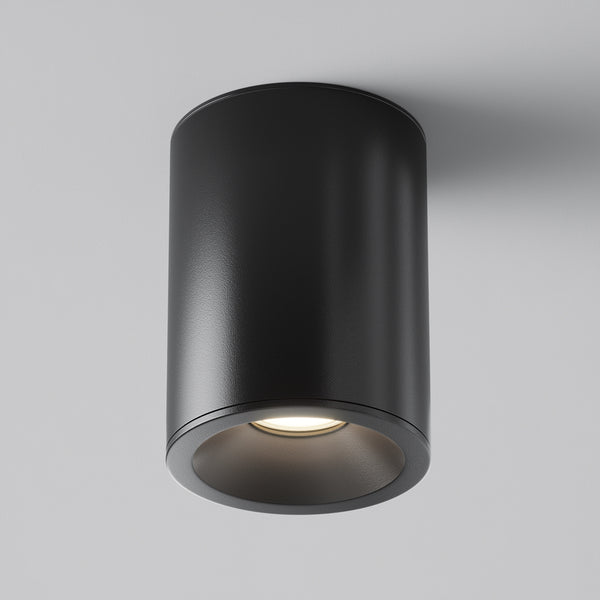 Black ceiling spotlight