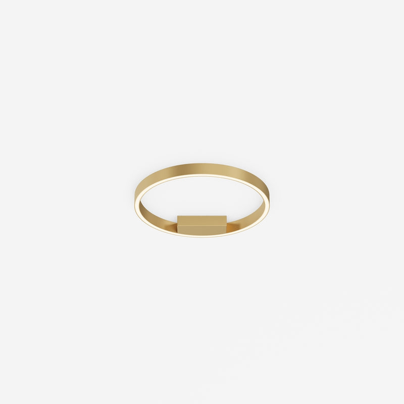 Rim Gold Ceiling Light
