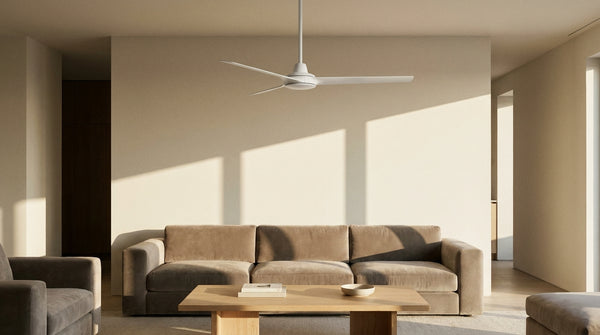 ceiling fan light reviews
