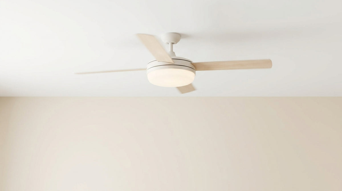 ceiling fan reviews