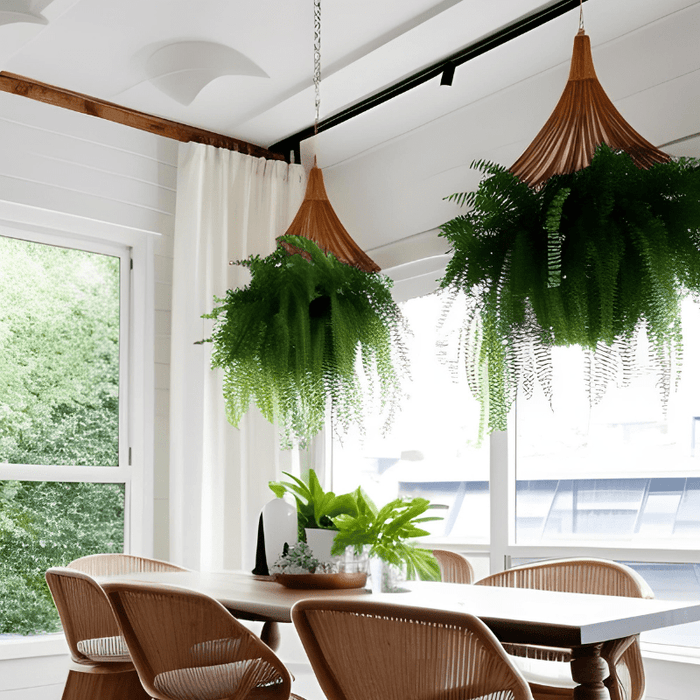 Incorporate hanging plants for a refreshing and trendy interior decor!