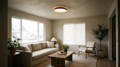 Bronze ceiling light