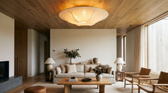 Contemporary ceiling light