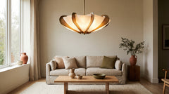 Affordable Ceiling Light
