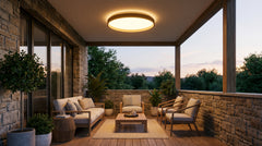 Outdoor LED ceiling lights