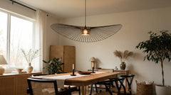 Designer black metal pendant lights