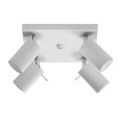 RING 4 ceiling light