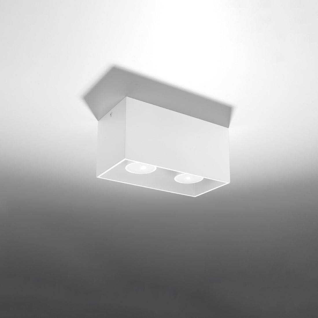 QUAD Ceiling Light