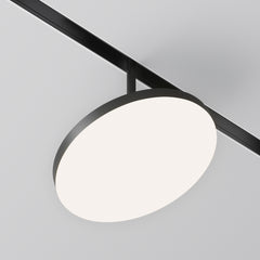 Black spot dish
