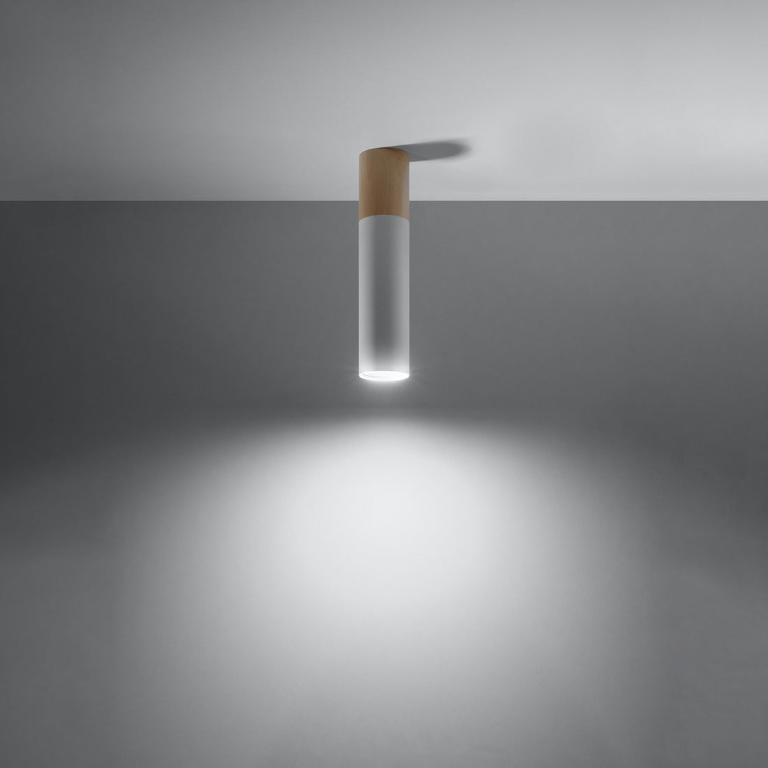PABLO Ceiling Light