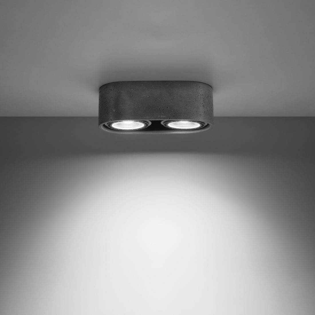 BASIC 2 concrete ceiling light