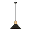 Rowen 1-light black pendant light