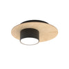 Pixo 1-light ceiling light black