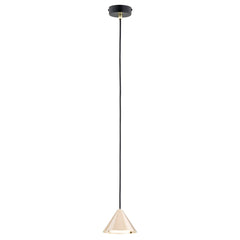 Elit 1-light black and gold pendant light