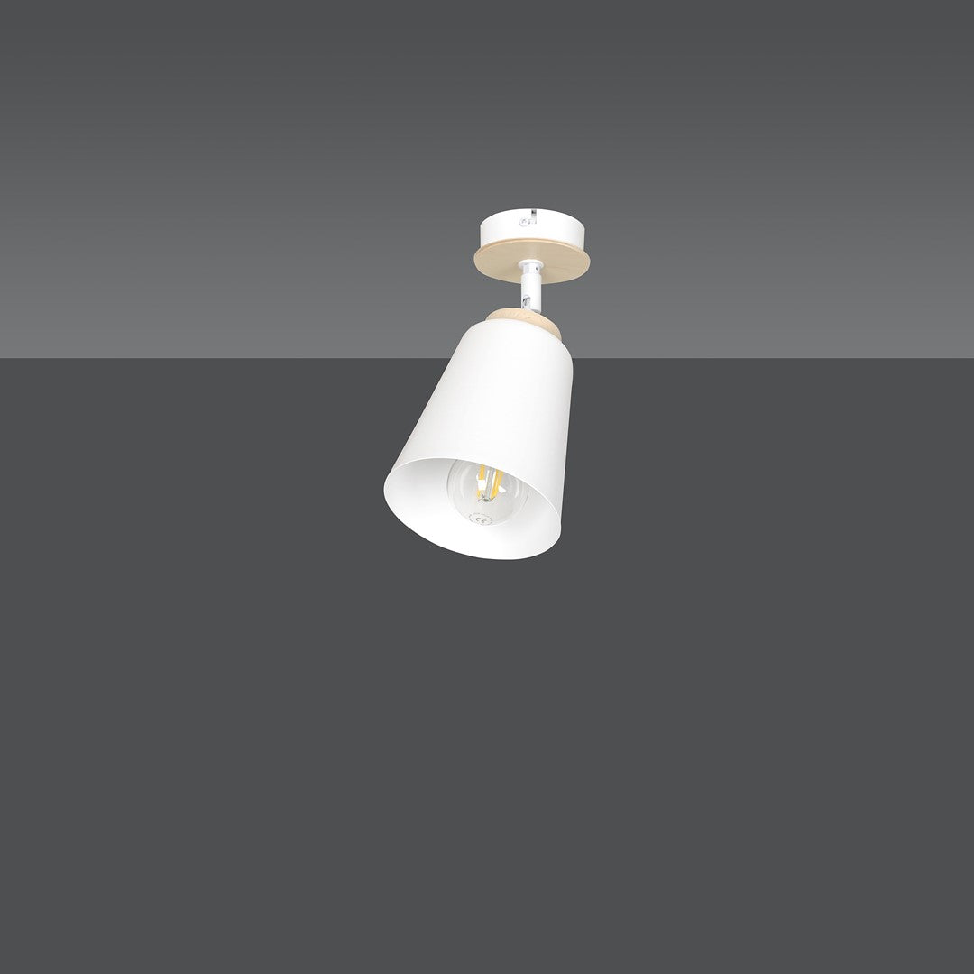 Atlas 1-light ceiling light white