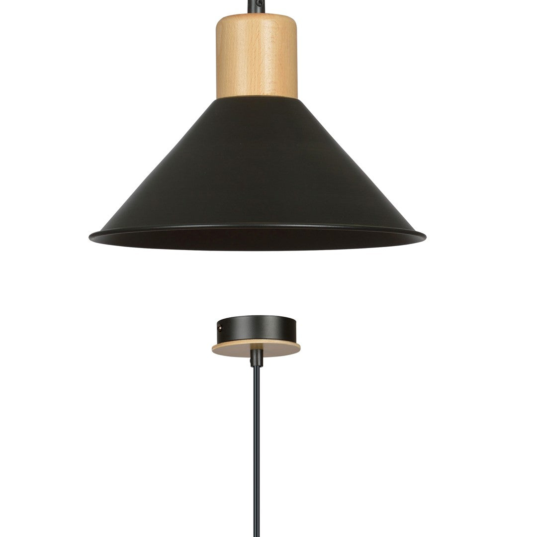 Rowen 1-light black pendant light