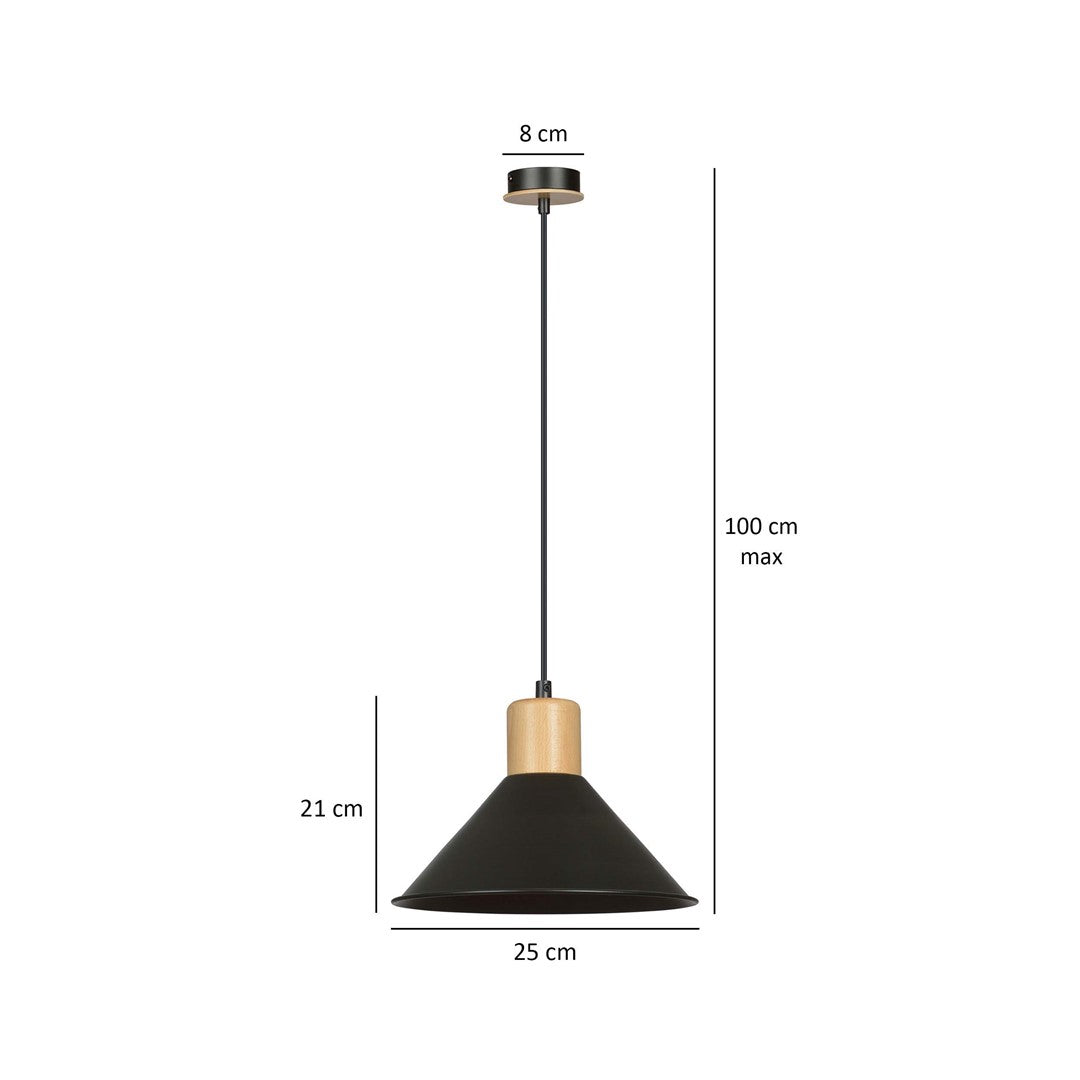 Rowen 1-light black pendant light