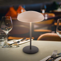 Lampe à poser d'extérieur LED Brilo en métal, anthracite et beige, Ø 19,5 cm, IP44