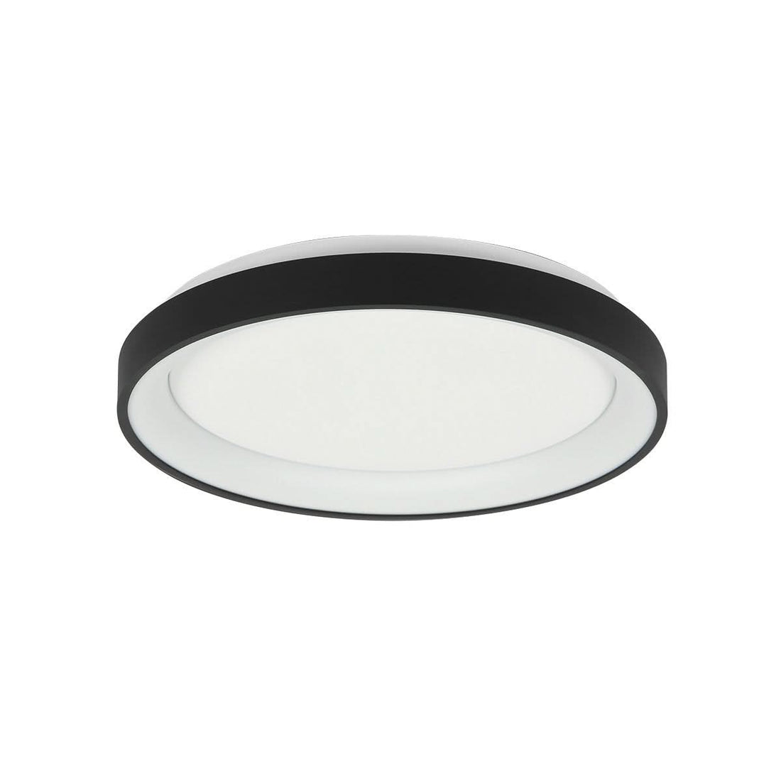 Black Ringlede ceiling light