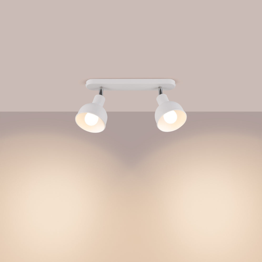 ELBA 2 ceiling light