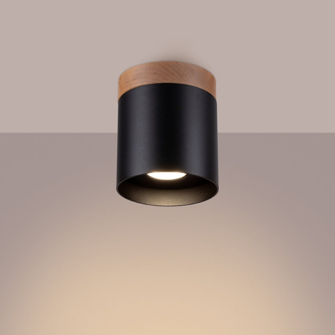 RIF ceiling light