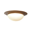Ikaro 1365BR Bronze ceiling light Ø24 cm, 4-step dimmable