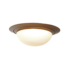 Ikaro 1365BR Bronze ceiling light Ø24 cm, 4-step dimmable