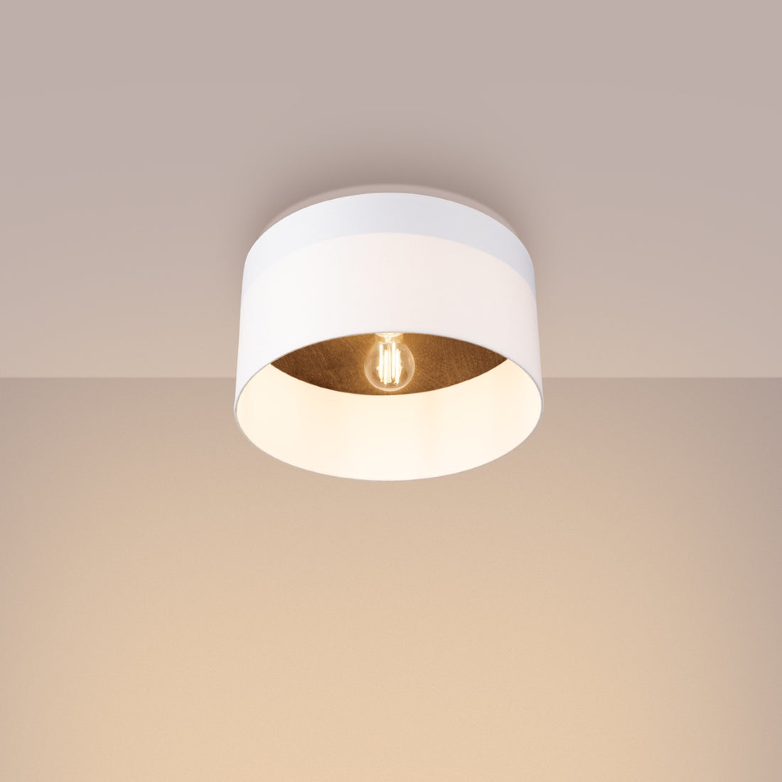 TELESTO ceiling light white/dark brown