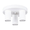 LAGOS 3-Light Ceiling Light