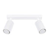 KARBON 2 2-light ceiling light
