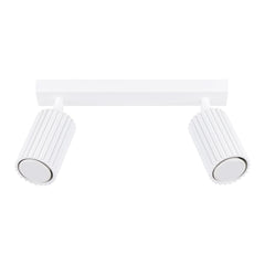 KARBON 2 2-light ceiling light