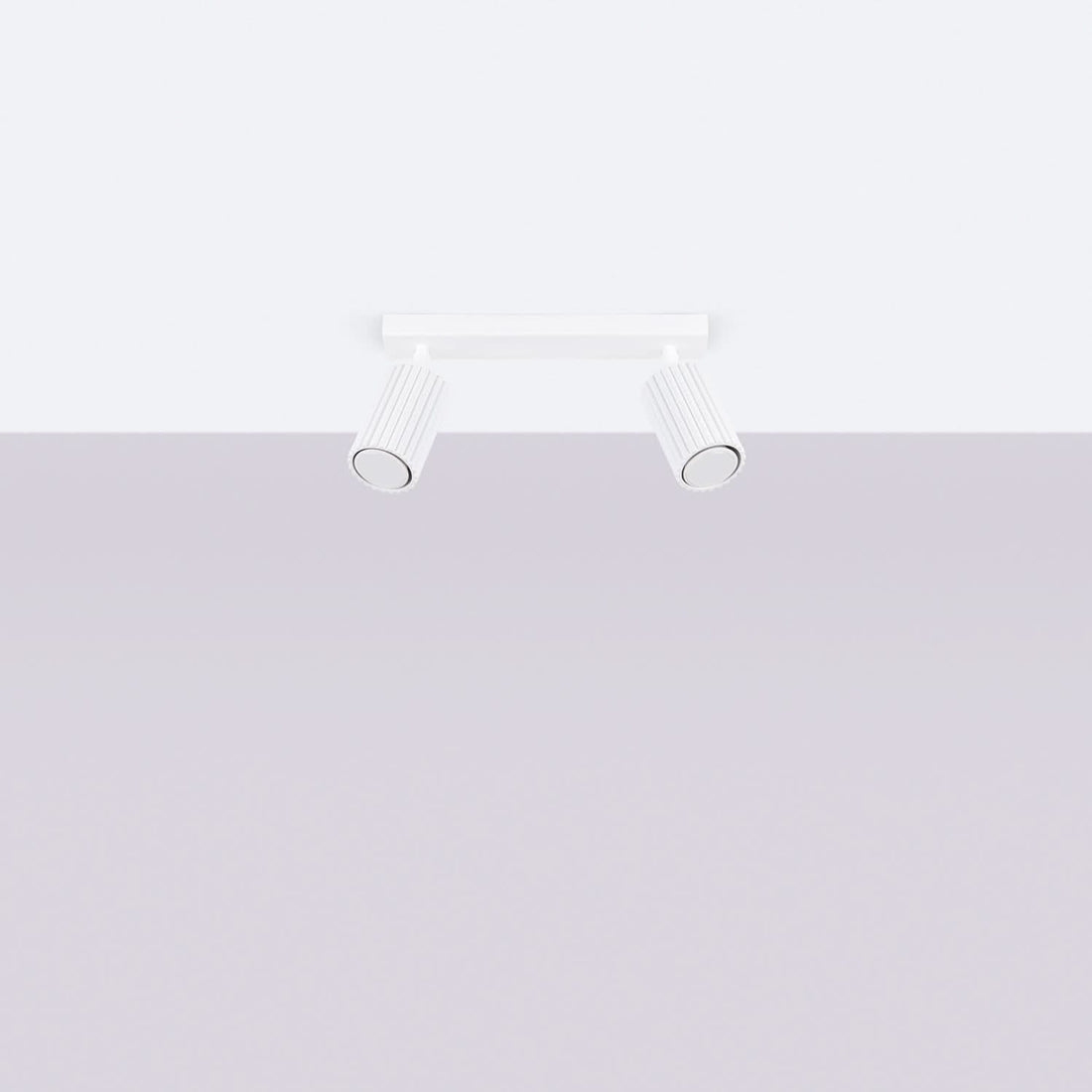 KARBON 2 2-light ceiling light