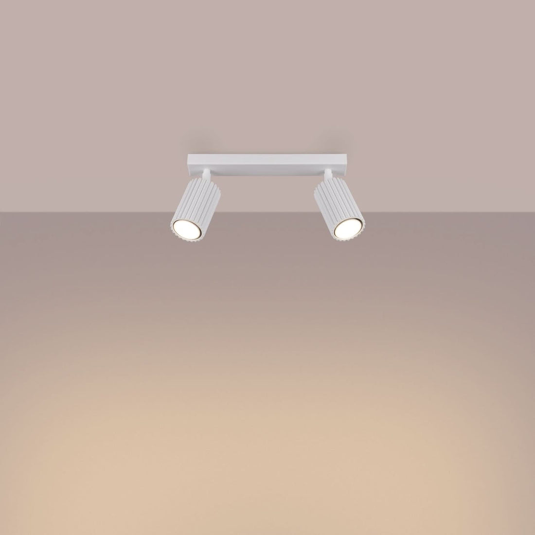 KARBON 2 2-light ceiling light