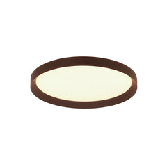 Flady ceiling light
