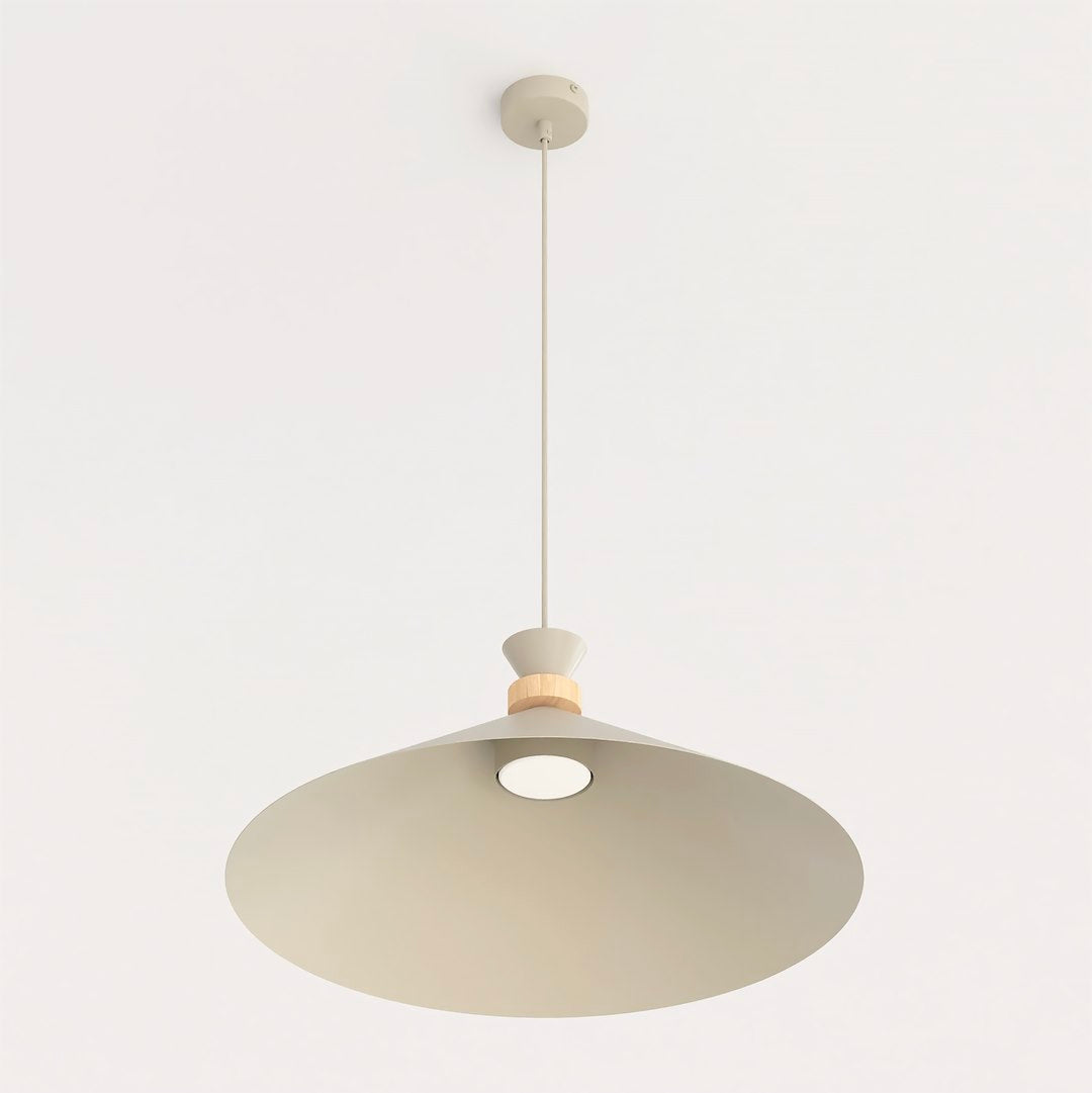 Suspension luminaire | Alba