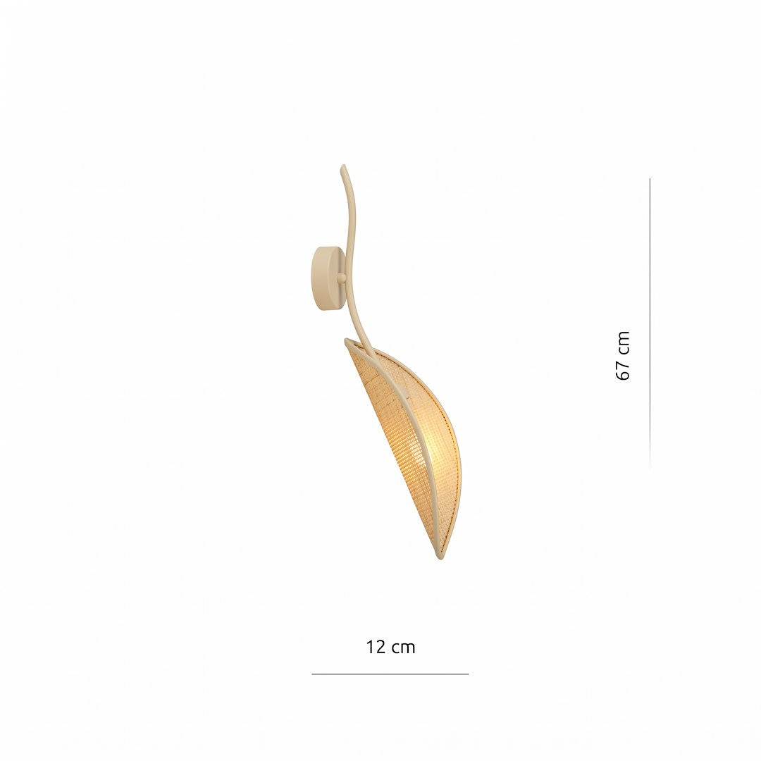 Schéma coté de l'applique : hauteur 67 cm et largeur 12 cm environ.