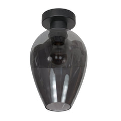 Drovia black ceiling light