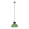 Lunaro 1-light black and green pendant light