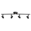 Black Bamboo Spotlight