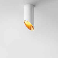 GU10 ceiling lights