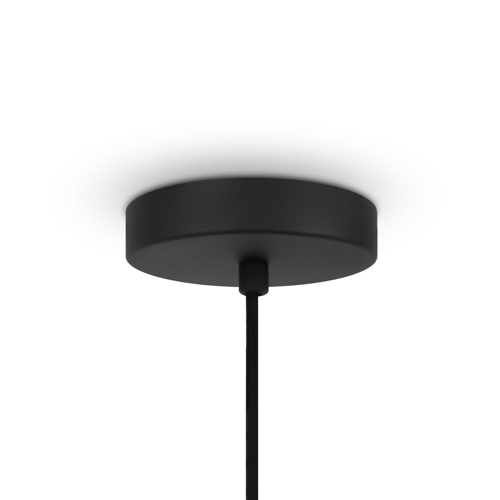Roots Suspension luminaire noir