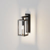 Cell Wall Lamp
