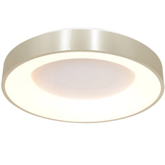 Contemporary ceiling lights