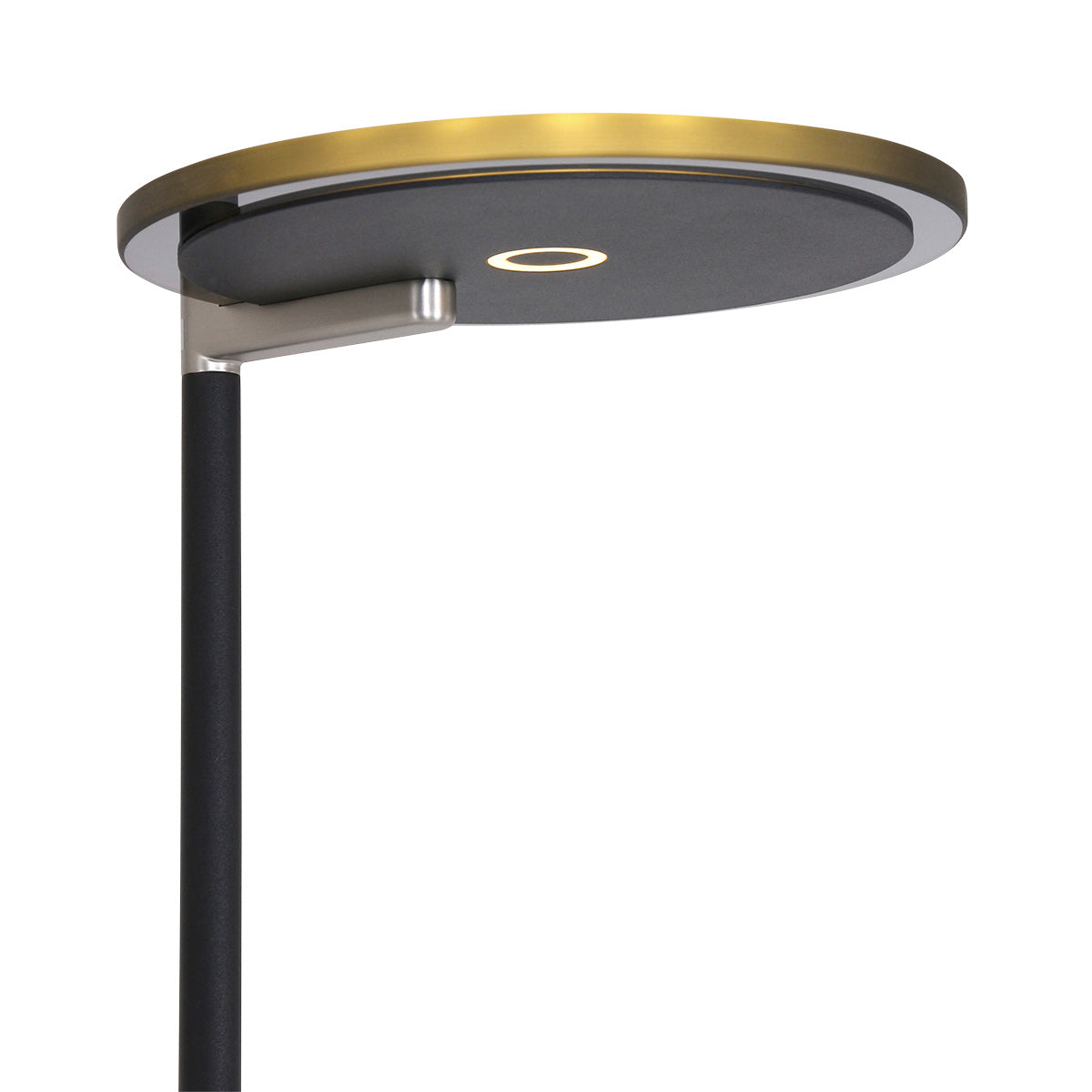 Modern Turound Floor Lamp