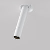White T-Spot spotlight