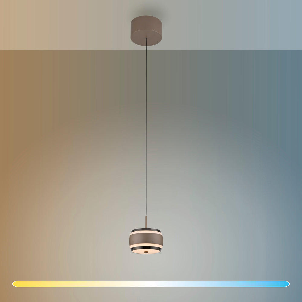 Designix showroom in Lyon