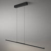 Black band pendant light