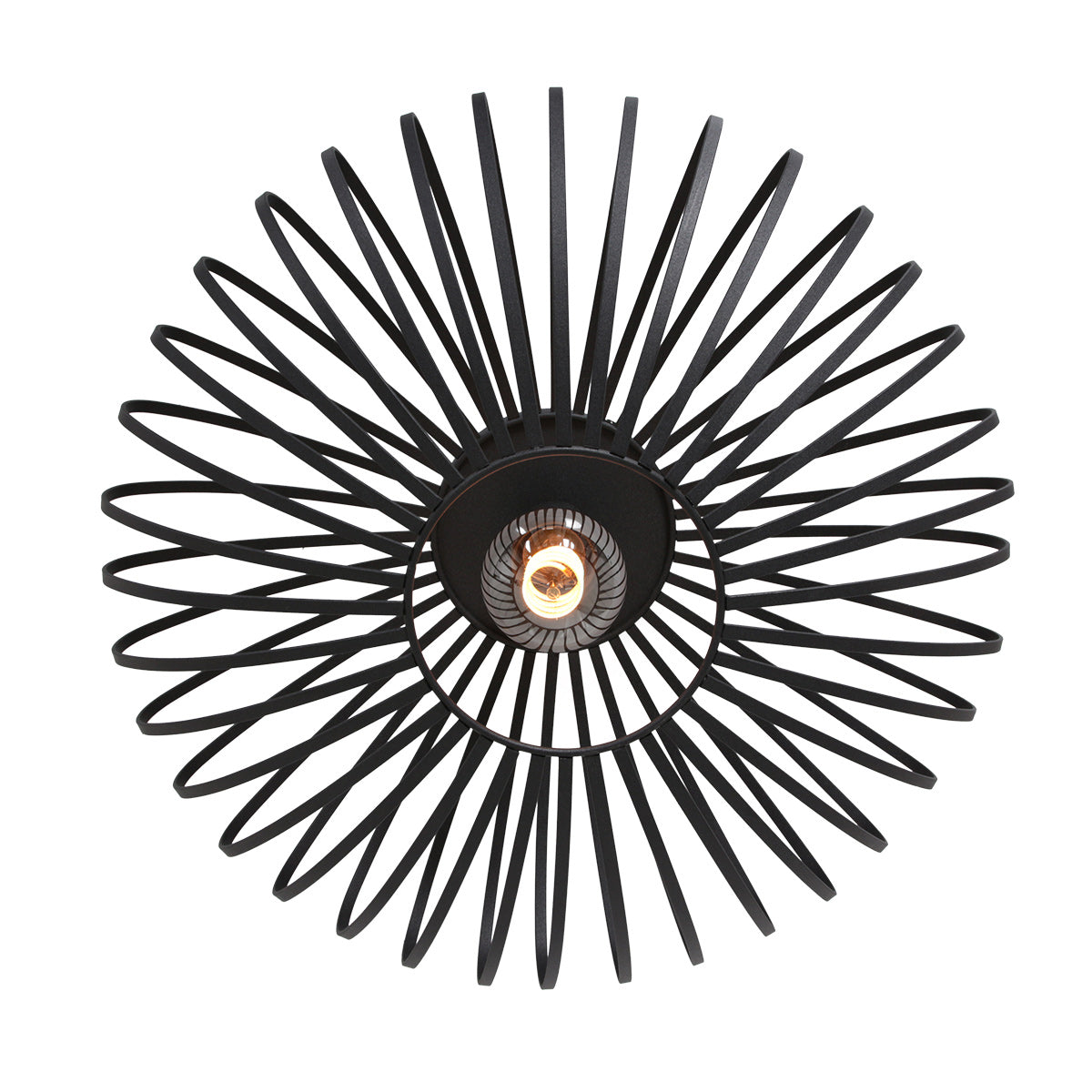 Vue rapprochée du dessous montrant le motif rayonnant en pétales métalliques