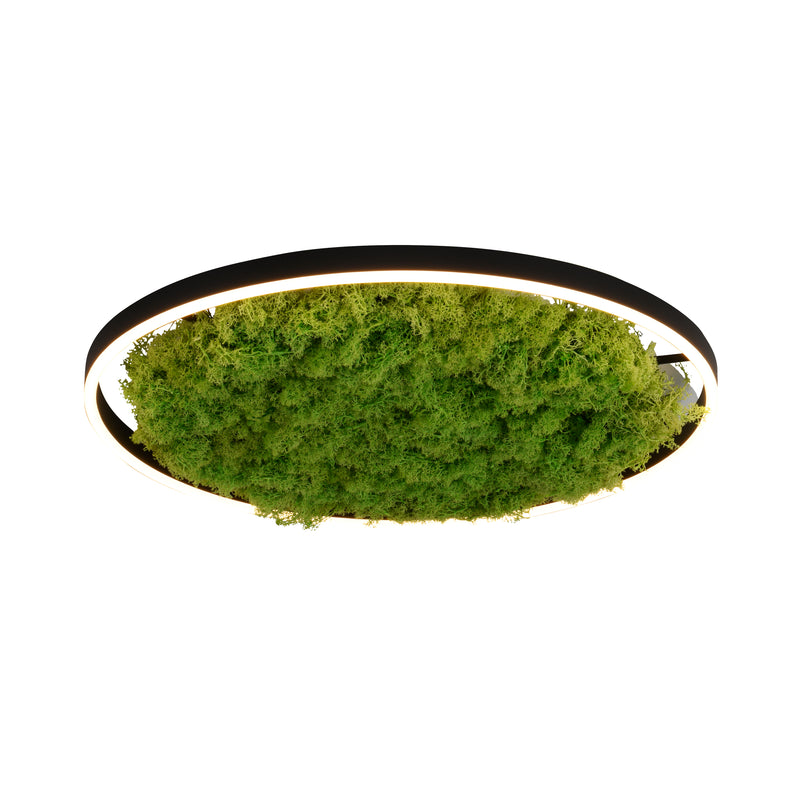 Plafonnier LED | Ritus L 58,5 cm