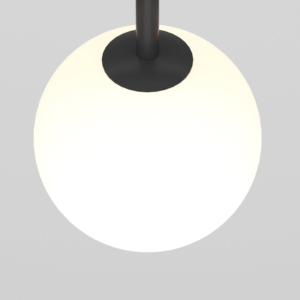 Luna Spot noir